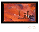 Postal Art Stamp Workshop: Font Curlz MT (Life SKi Run Stamp)