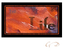 Postal Art Stamp Workshop: Font Curlz MT Location Change (Life SKi Run Stamp)