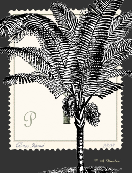 Art Stamp: Happy Accident of PArachute in Artistamp