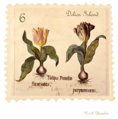 Lovers Stamp