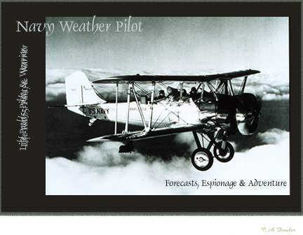 Life Path 5 (Navy Pilot) Faux Mail ARt Post Card