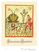 Postal Artistamp: Tacuinum Sanitatis Art STamp (Mandrake)