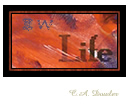 Postal Art Stamp Workshop: Font Archeologicaps (Life SKi Run Stamp)
