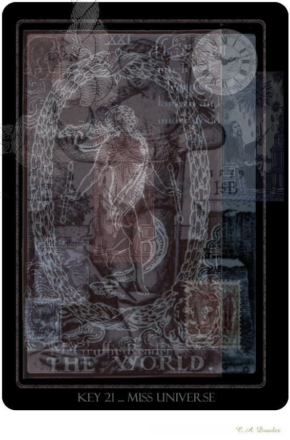 The Wolrd Universe World Tarot Card (Tarot Playing Card Series)