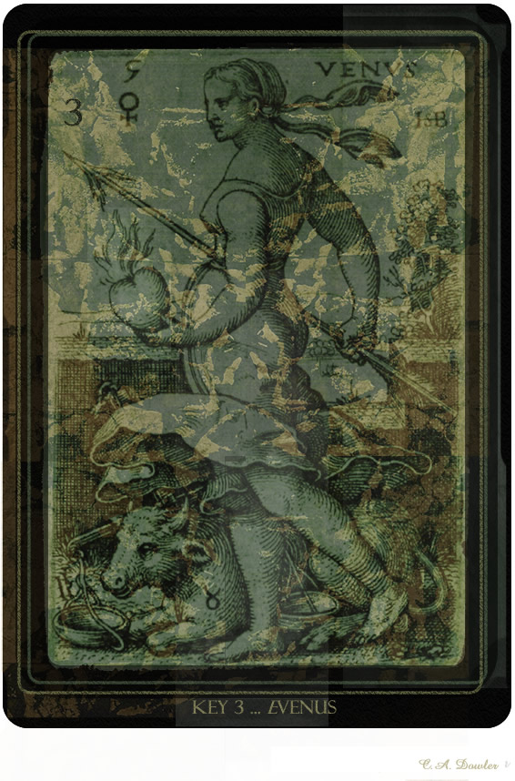 The Empress TArot Card (TArot Playing Cards)