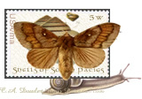 Artist Stamp: Life PAth (Moth to Flame in South Pacigs in Snail race)