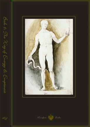 Book Way of Energy & Emptiness by Manifest Books