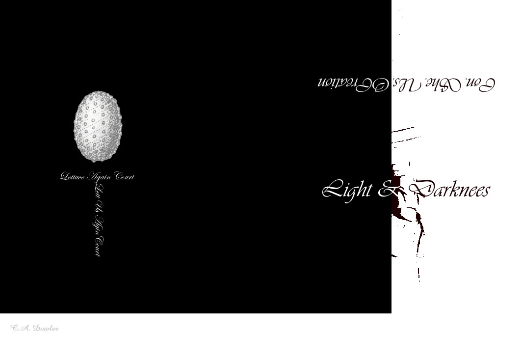 Conscious Creation of Capitalism