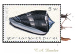Postage Art Stamp: Work Care Deeply About (SOuth Pacigs Snalis & Shells)